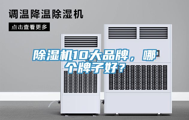 除濕機10大品牌，哪個牌子好？