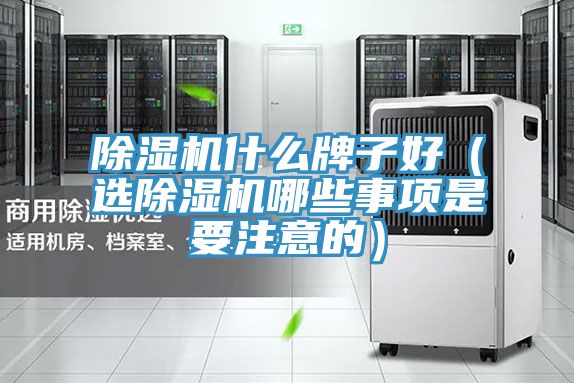 除濕機什么牌子好（選除濕機哪些事項是要注意的）
