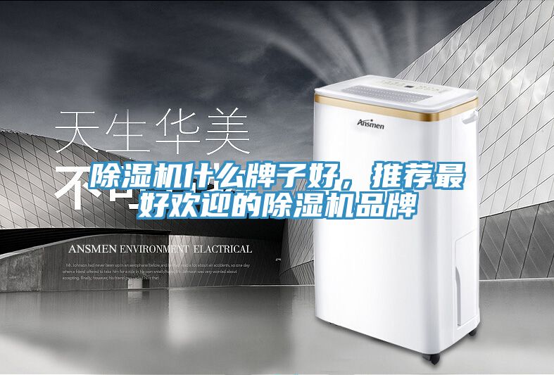 除濕機什么牌子好，推薦最好歡迎的除濕機品牌