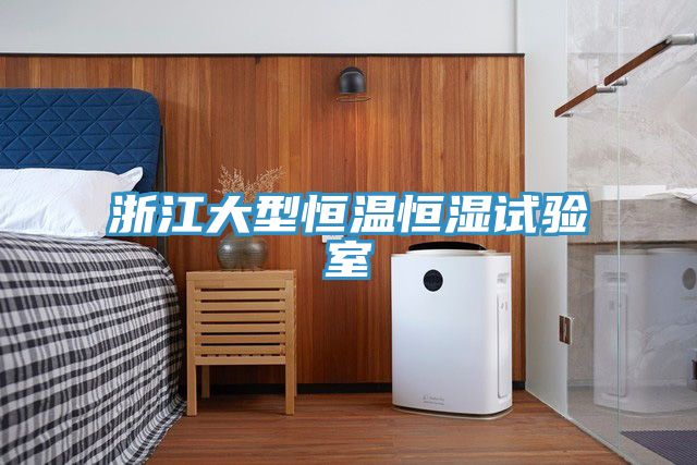 浙江大型恒溫恒濕試驗室