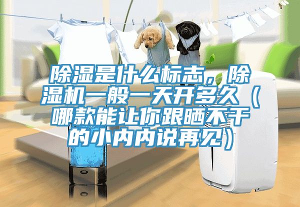 除濕是什么標志，除濕機一般一天開多久（哪款能讓你跟曬不干的小內內說再見）