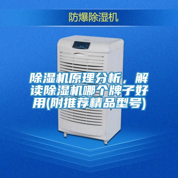 除濕機原理分析，解讀除濕機哪個牌子好用(附推薦精品型號)