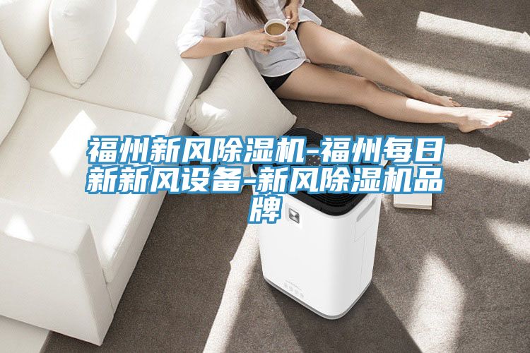 福州新風除濕機-福州每日新新風設備-新風除濕機品牌