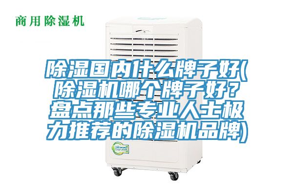 除濕國內什么牌子好(除濕機哪個牌子好？盤點那些專業人士極力推薦的除濕機品牌)