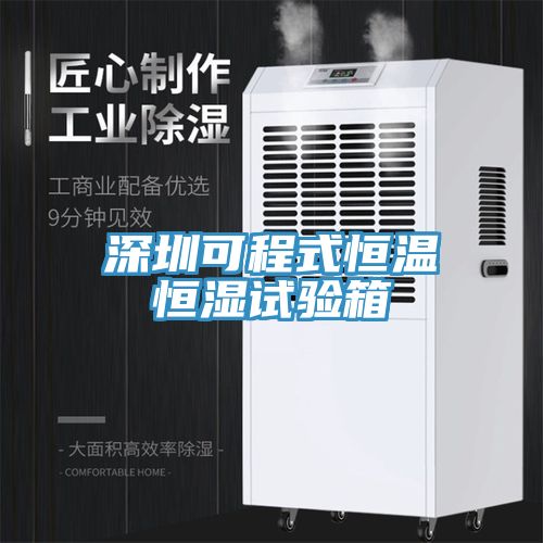 深圳可程式恒溫恒濕試驗箱