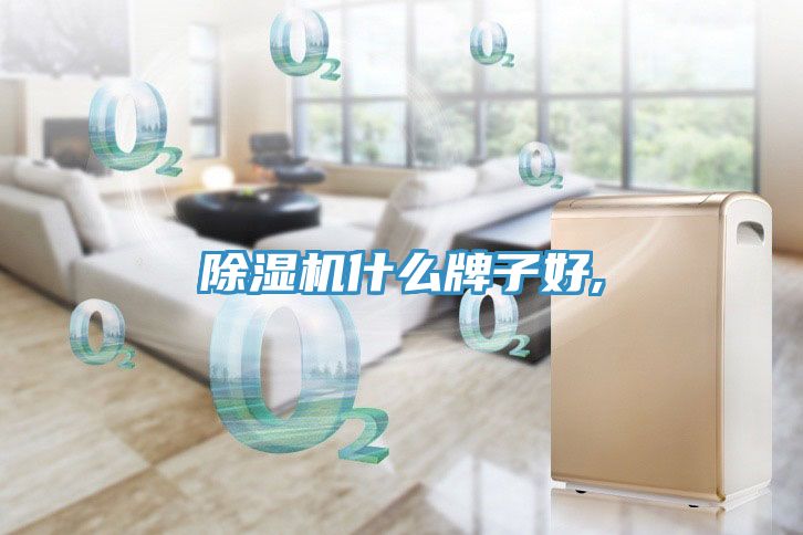 除濕機什么牌子好,