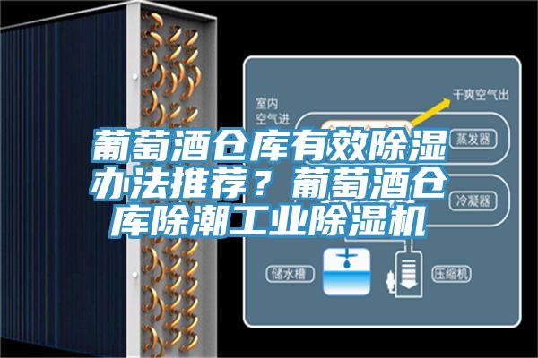 葡萄酒倉庫有效除濕辦法推薦？葡萄酒倉庫除潮工業除濕機