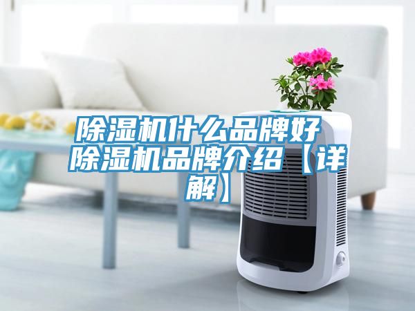 除濕機什么品牌好 除濕機品牌介紹【詳解】