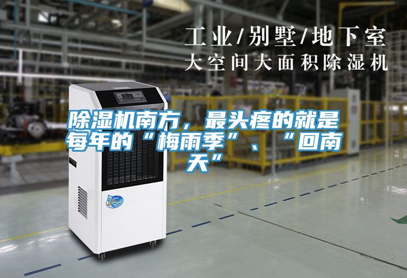 除濕機南方，最頭疼的就是每年的“梅雨季”、“回南天”
