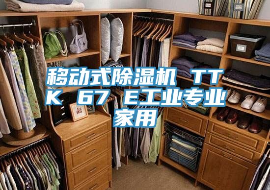 移動式除濕機 TTK 67 E工業專業家用