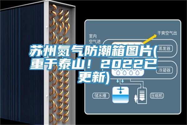 蘇州氮氣防潮箱圖片(重于泰山！2022已更新)
