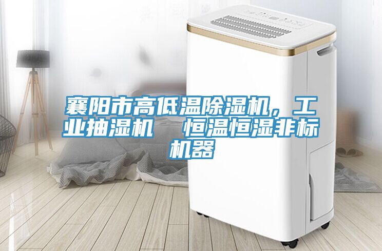 襄陽市高低溫除濕機，工業抽濕機  恒溫恒濕非標機器