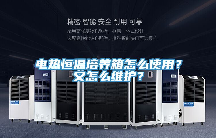 電熱恒溫培養箱怎么使用？又怎么維護？