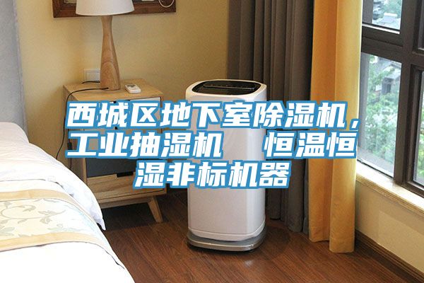 西城區地下室除濕機，工業抽濕機  恒溫恒濕非標機器