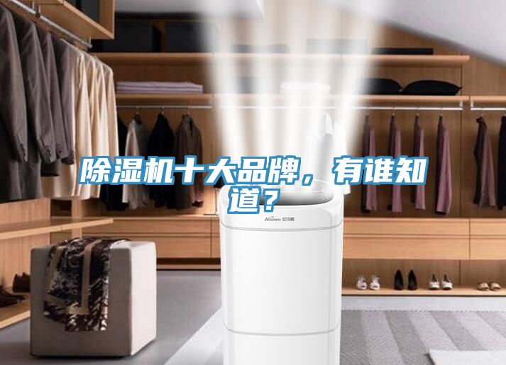除濕機十大品牌，有誰知道？