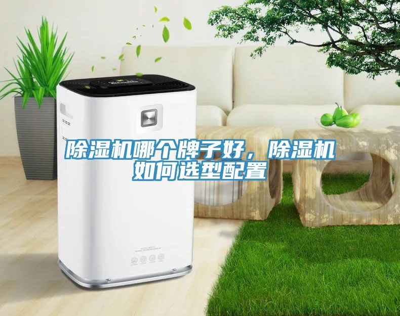 除濕機哪個牌子好，除濕機如何選型配置