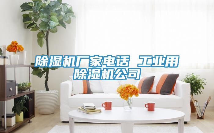 除濕機廠家電話 工業用除濕機公司
