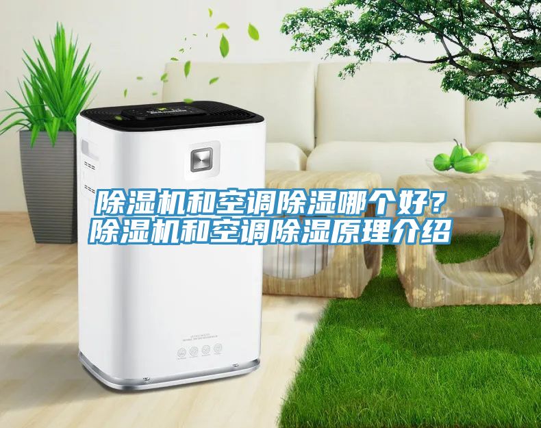 除濕機和空調除濕哪個好？除濕機和空調除濕原理介紹