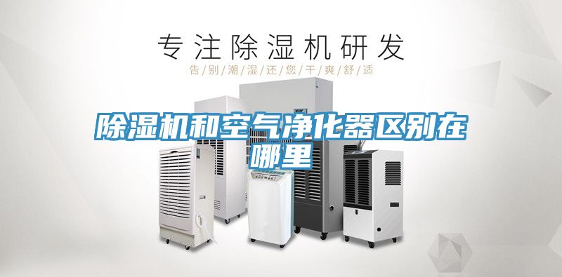 除濕機和空氣凈化器區別在哪里