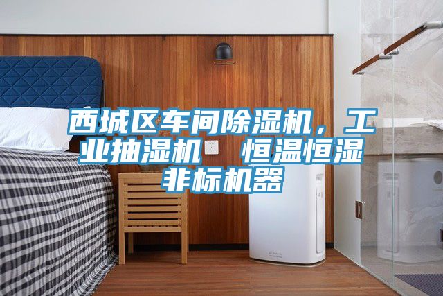 西城區車間除濕機，工業抽濕機  恒溫恒濕非標機器