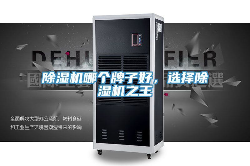 除濕機哪個牌子好，選擇除濕機之王