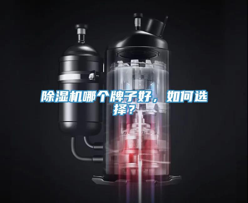 除濕機哪個牌子好，如何選擇？