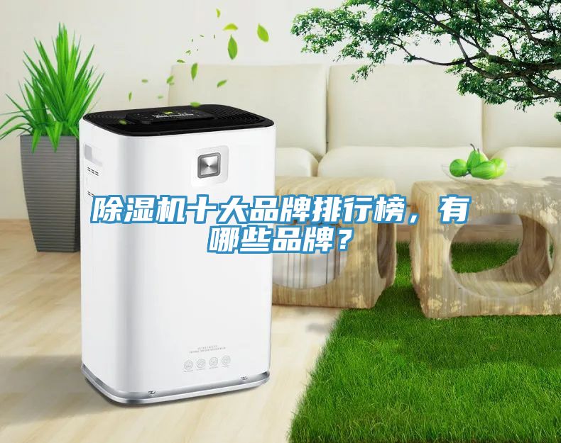 除濕機十大品牌排行榜，有哪些品牌？