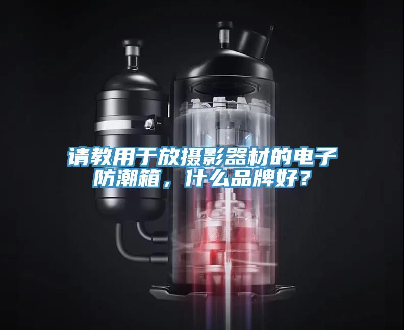 請教用于放攝影器材的電子防潮箱，什么品牌好？
