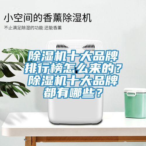 除濕機十大品牌排行榜怎么來的？除濕機十大品牌都有哪些？