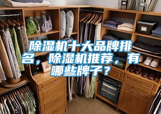 除濕機十大品牌排名，除濕機推薦，有哪些牌子？