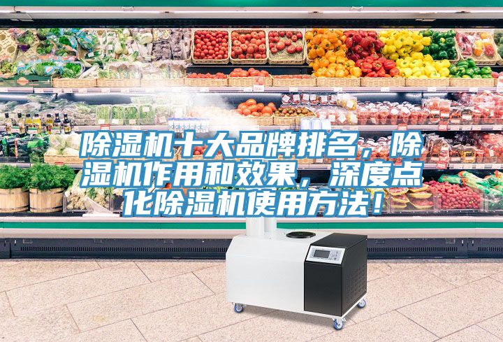除濕機十大品牌排名，除濕機作用和效果，深度點化除濕機使用方法！