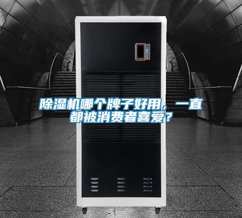 除濕機哪個牌子好用，一直都被消費者喜愛？