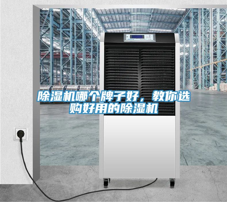 除濕機哪個牌子好，教你選購好用的除濕機