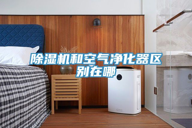 除濕機和空氣凈化器區別在哪