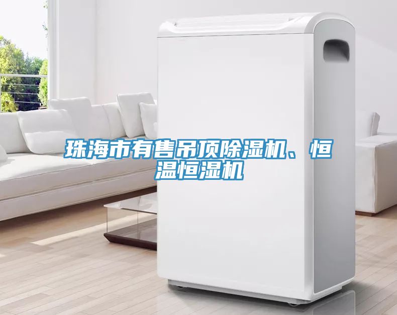 珠海市有售吊頂除濕機、恒溫恒濕機