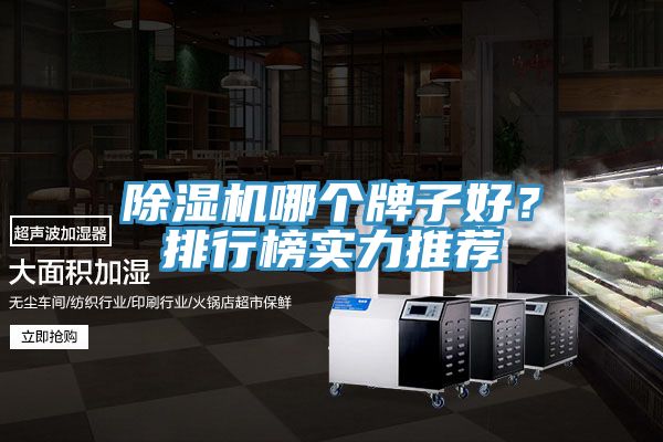 除濕機哪個牌子好？排行榜實力推薦