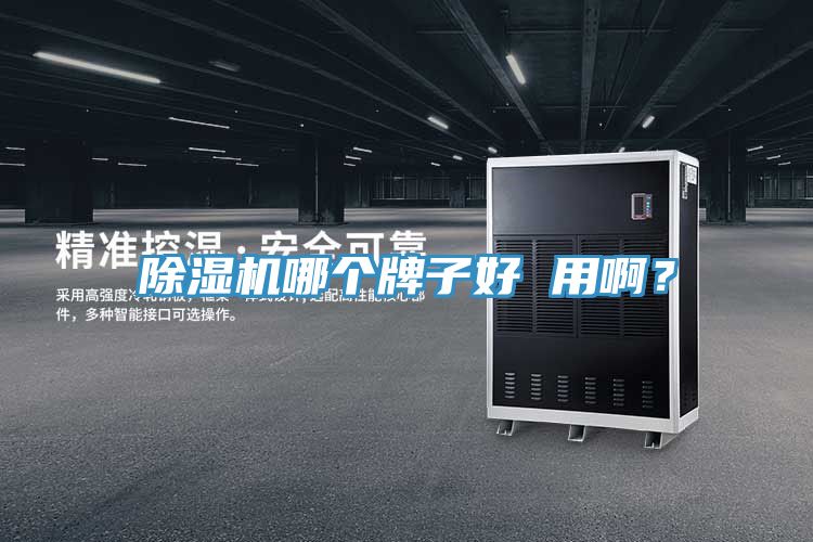 除濕機哪個牌子好 用?。?></div>
								<div   id=