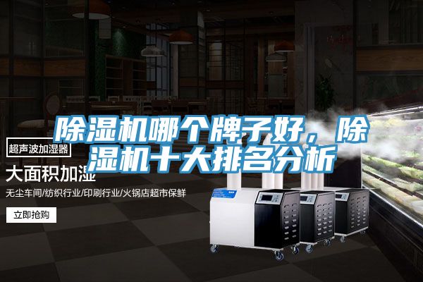 除濕機哪個牌子好，除濕機十大排名分析