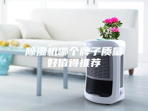 除濕機哪個牌子質量好值得推薦