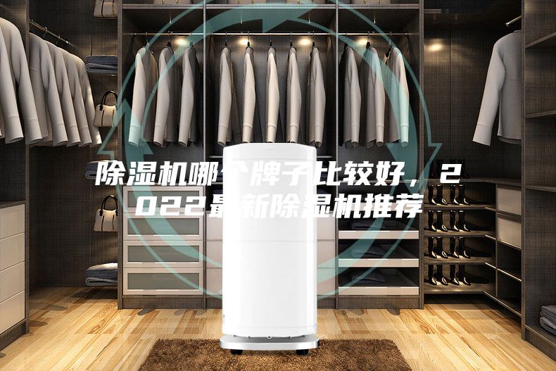 除濕機哪個牌子比較好，2022最新除濕機推薦