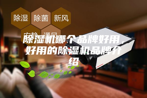 除濕機哪個品牌好用，好用的除濕機品牌介紹