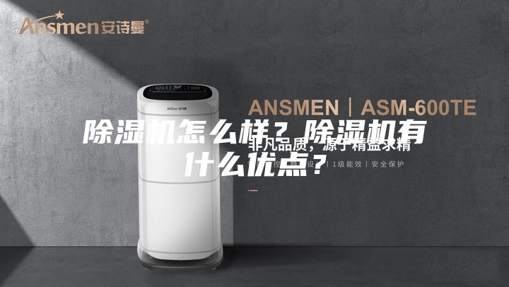 除濕機怎么樣？除濕機有什么優點？