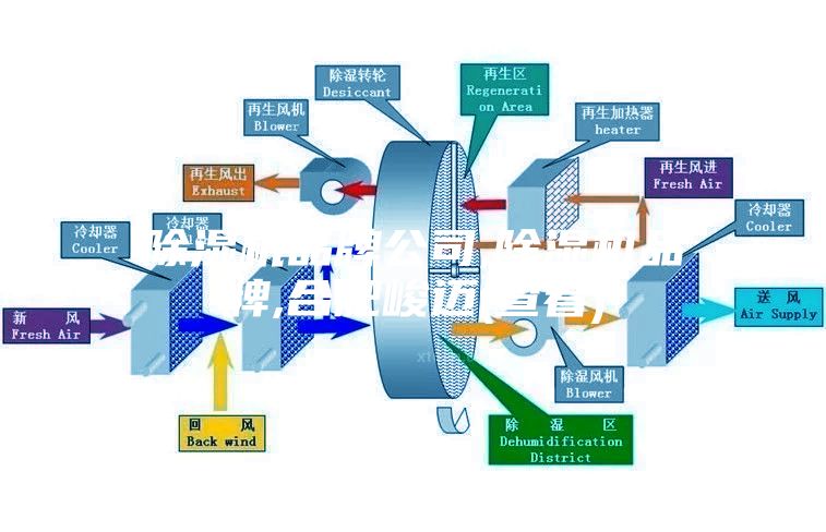 除濕機品牌公司,除濕機品牌,合肥峻邁(查看)