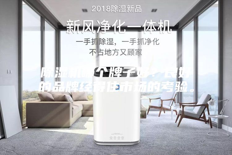 除濕機哪個牌子好？良好的品牌經得住市場的考驗。