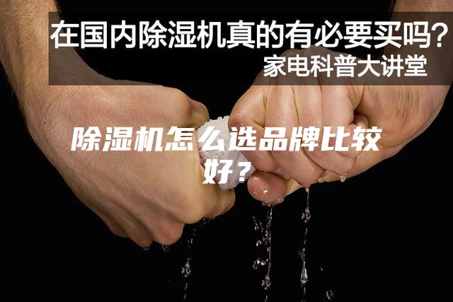 除濕機怎么選品牌比較好？