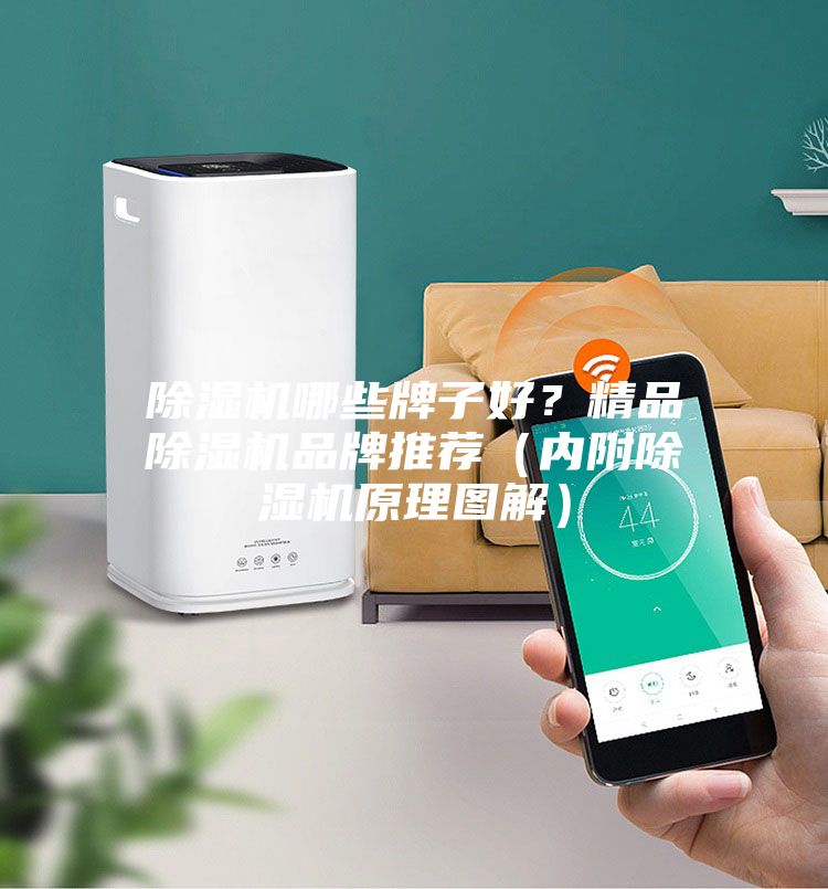 除濕機哪些牌子好？精品除濕機品牌推薦（內附除濕機原理圖解）