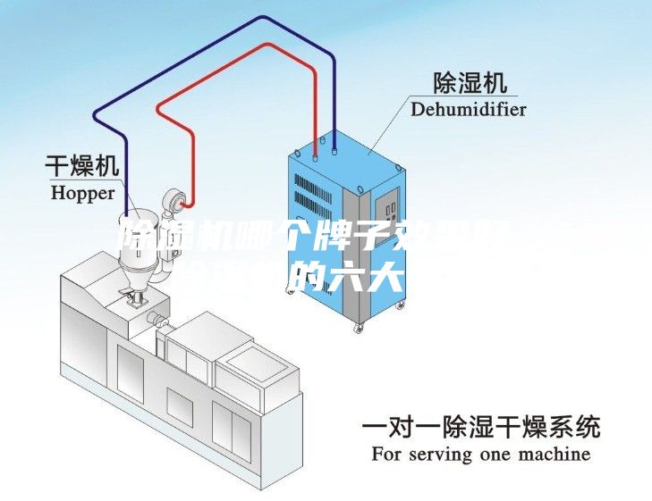 除濕機哪個牌子效果好 除濕機的六大品牌