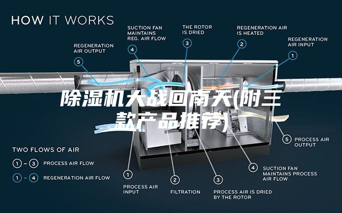 除濕機大戰回南天(附三款產品推薦)