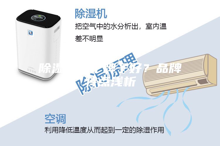 除濕機哪個牌子好？品牌特點淺析