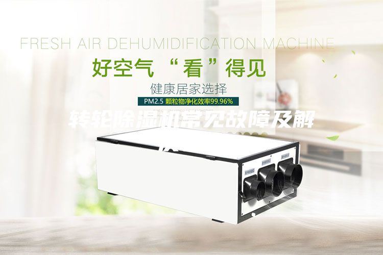 轉輪除濕機常見故障及解決辦法
